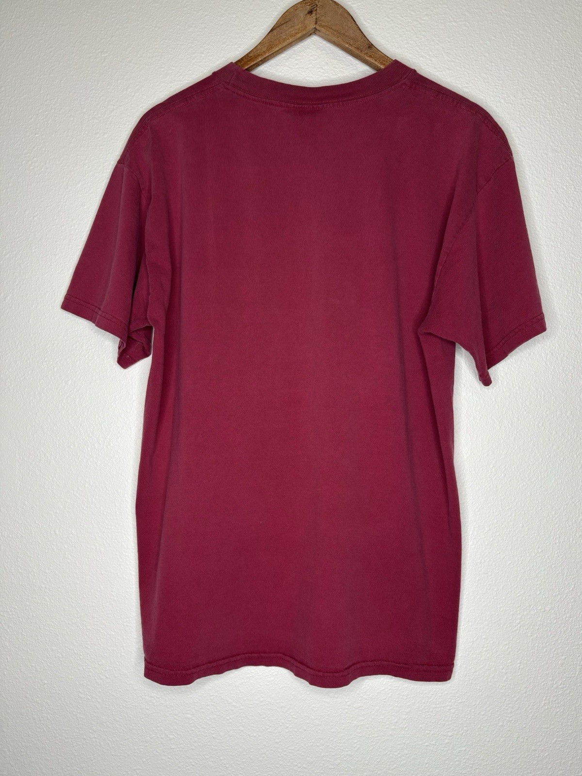 Vintage TSI Sportswear U of A Crimson Tide Alabama Graphic TShirt Size L