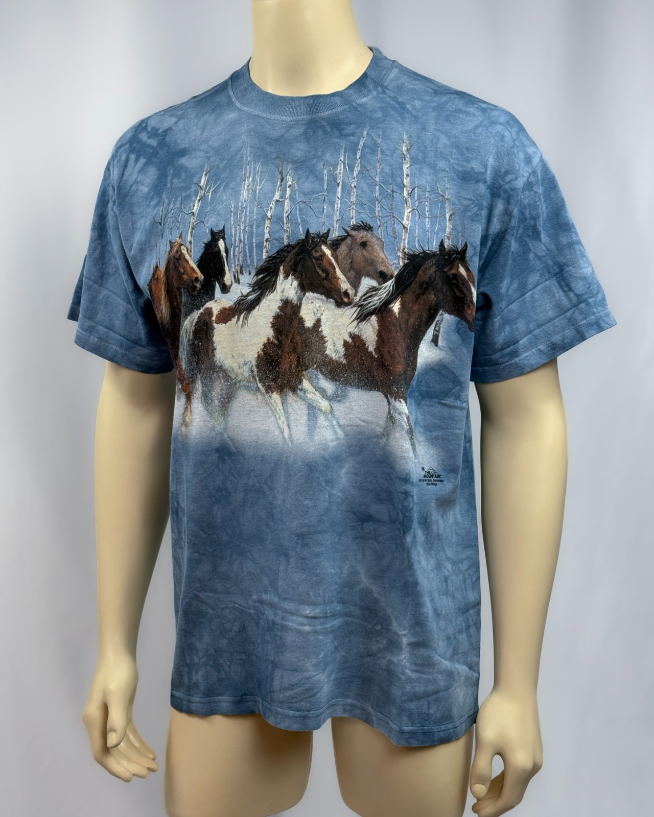 Vintage 1999 The Mountain Horse Snow T Shirt Large Blue Tie Dye Wild Wings USA