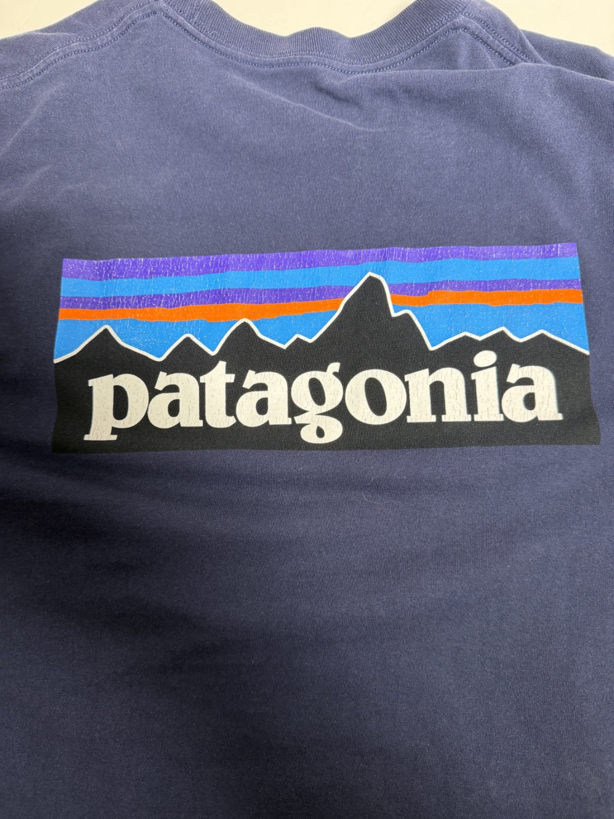 Patagonia Worn Wear Mens Long Sleeve T Shirt Blue Large Big Logo Cotton Tee