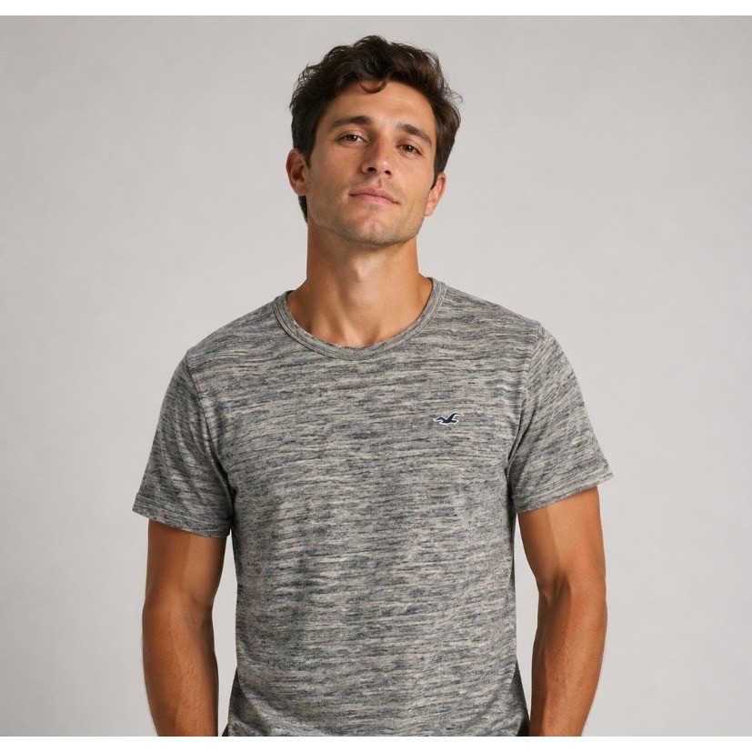 Hollister Mens Grey Space Dye V-Neck T-Shirt Must-Have Collection XL NWT