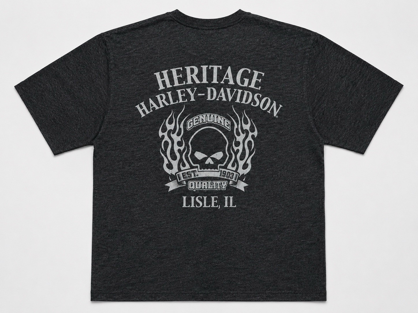 Harley Davidson T-Shirt Cowboy Skull Flames Men’s Large Biker Illinois