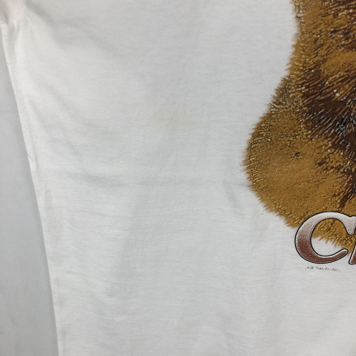 Used 90’S-00’S Fruit of the Loom Chow Chow dog print animal t-shirt men’s si…