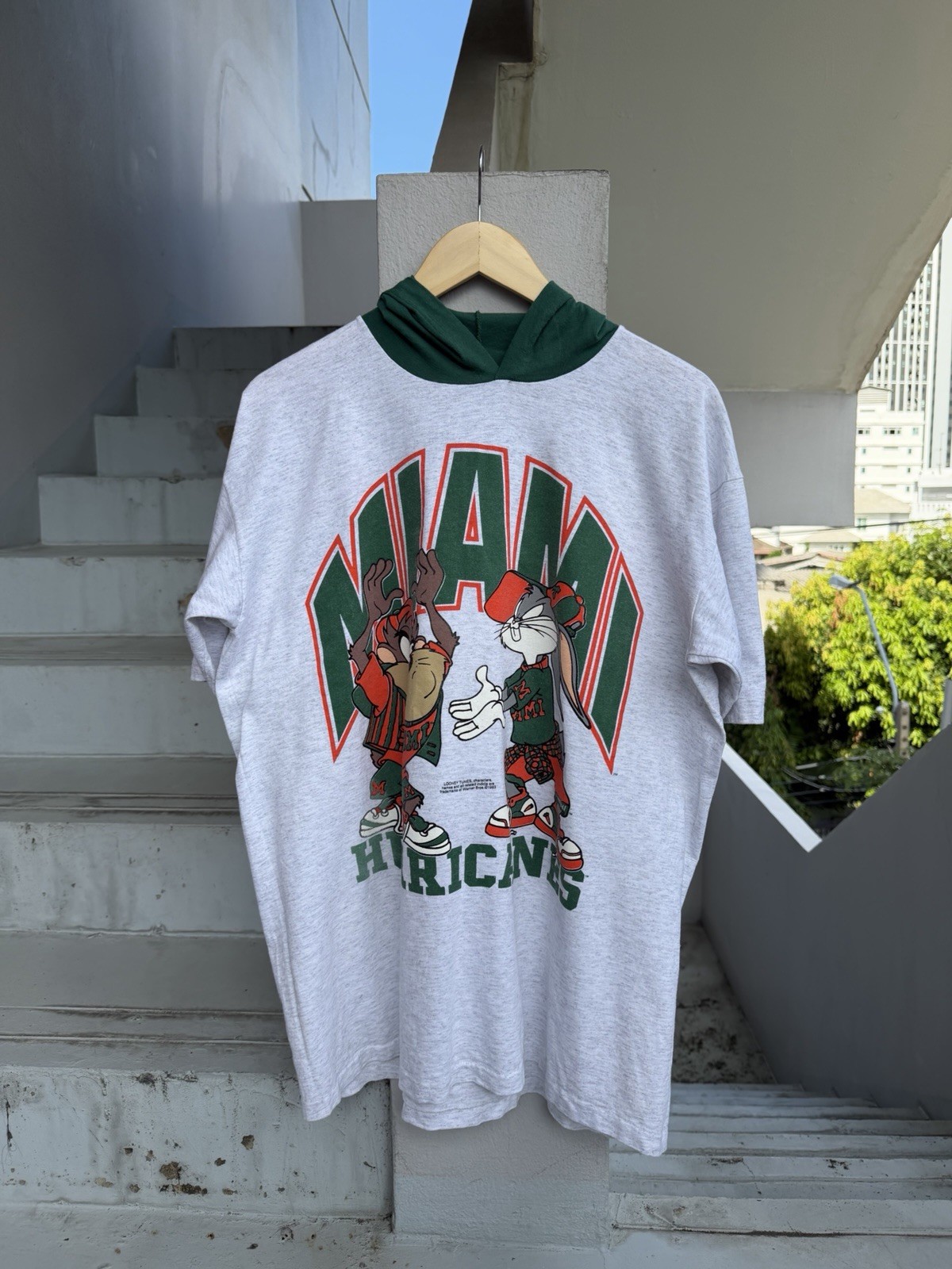 Vintage 1993 Taz Tasmanian Devil Hooded T-Shirt XL Looney Tunes Single Stitch US