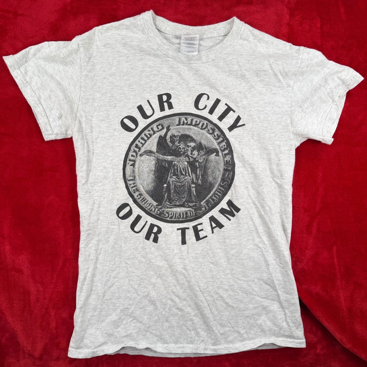 GILDAN Men’s T-Shirt Heather Grey Small Cotton Blend St. Louis Graphic