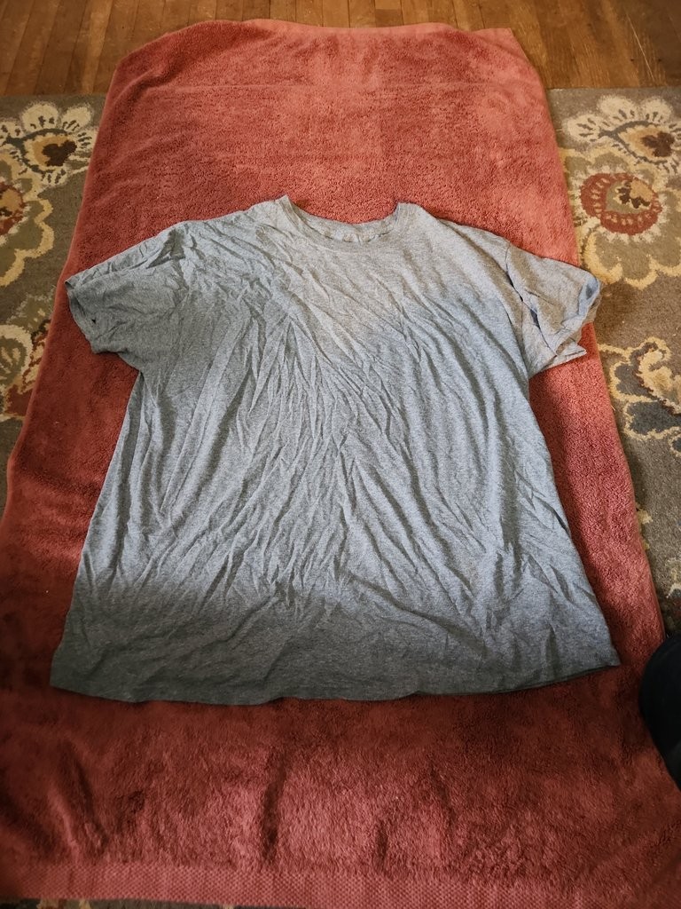Hanes X-Temp Men’s T-Shirt
