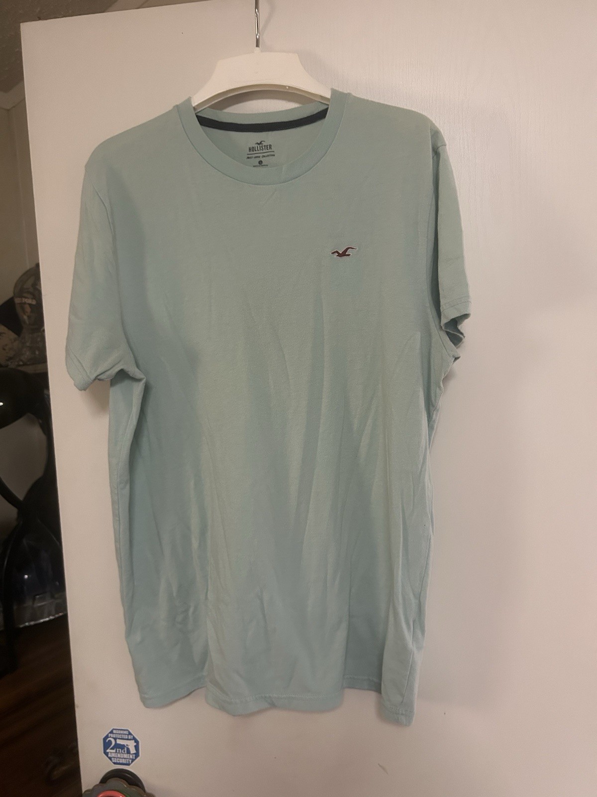 Men’s Shirt Size L / HOLLISTER / Light Green, MUST-HAVE COLLECTION