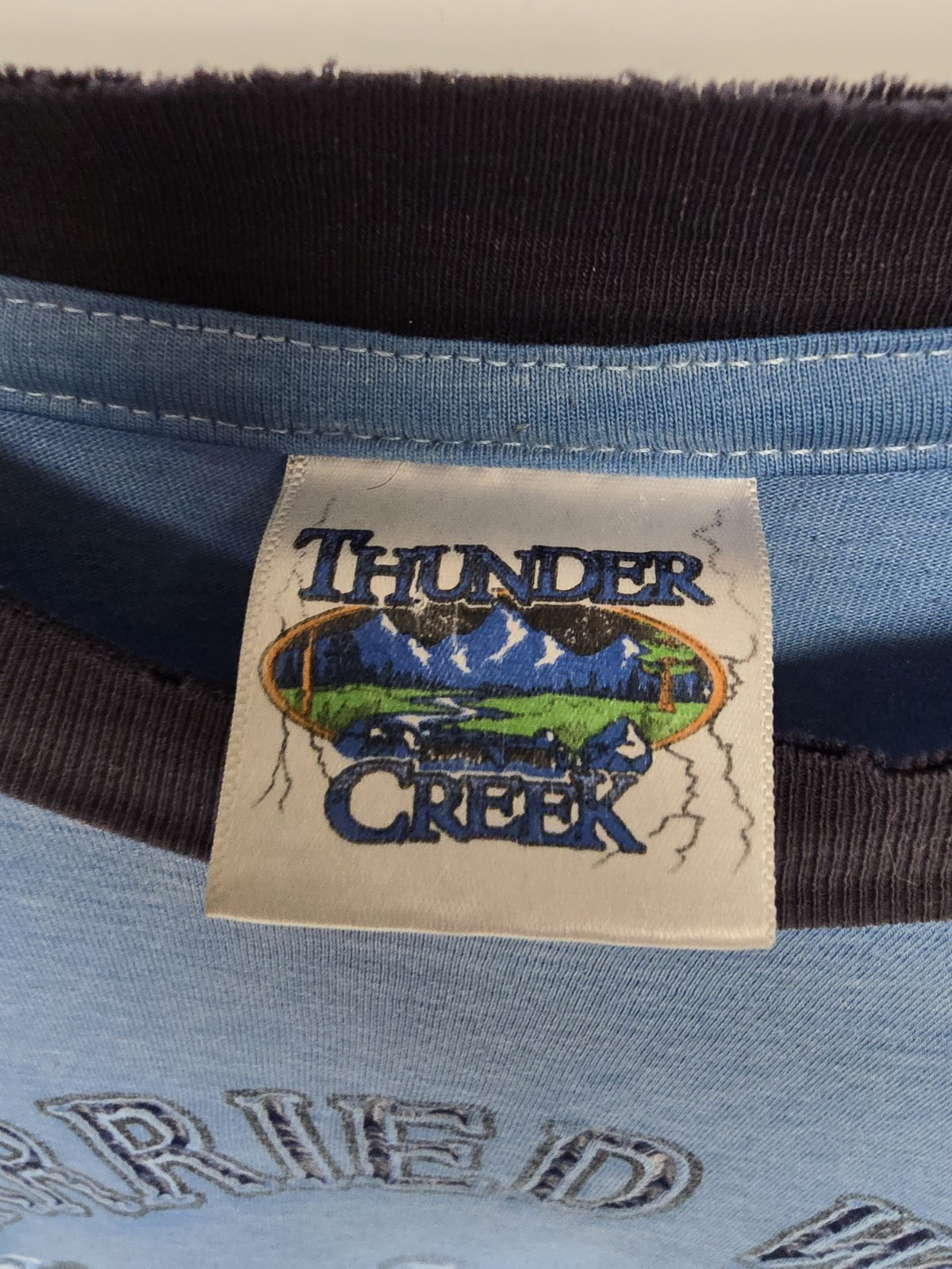 Vintage Thunder Creek Mens Married With Children Al Bundy T Shirt Large Blue