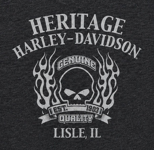 Harley Davidson T-Shirt Cowboy Skull Flames Men’s Large Biker Illinois