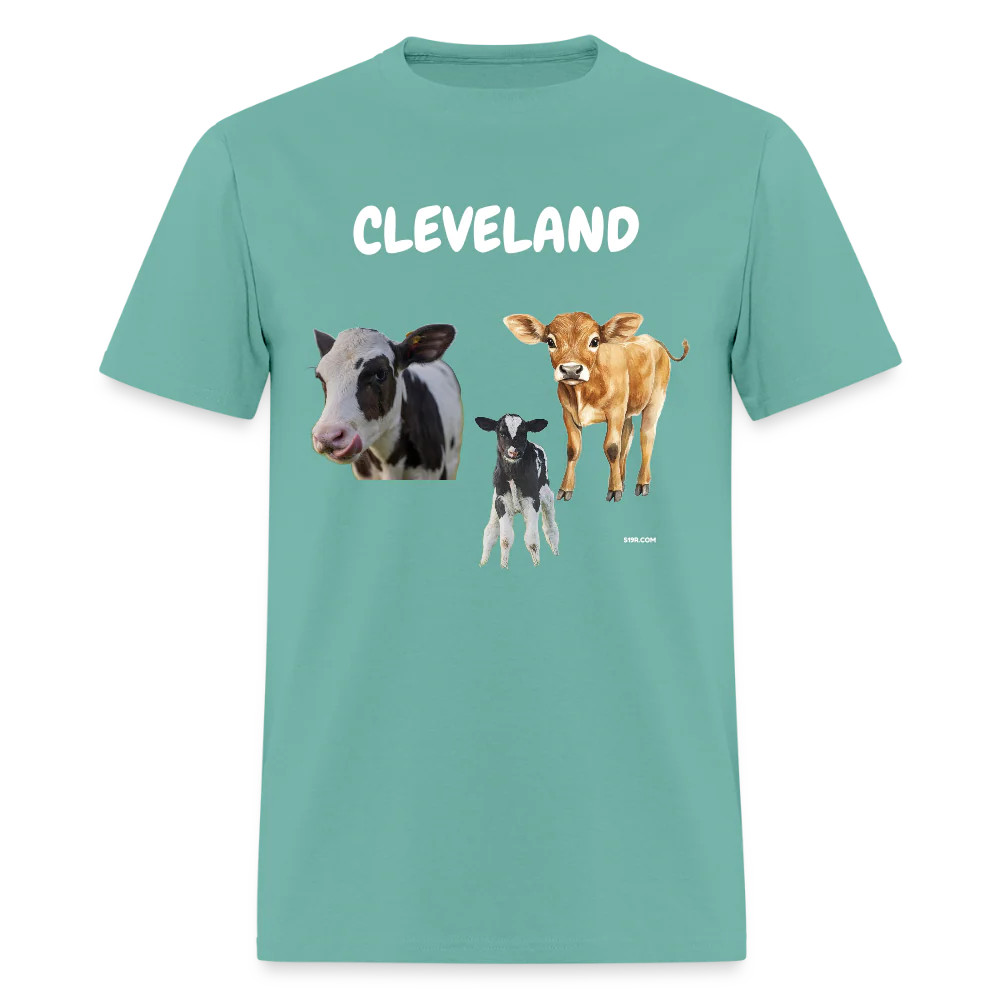 CAVS
