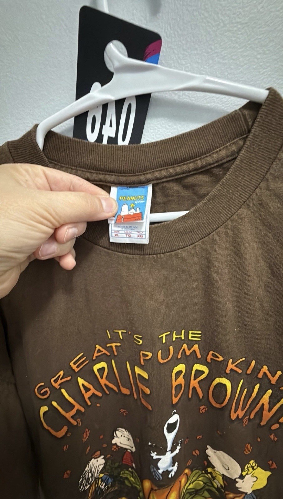 Peanuts Men’s Brown Great Pumpkin Charlie Brown Crew Neck T-Shirt Size XL