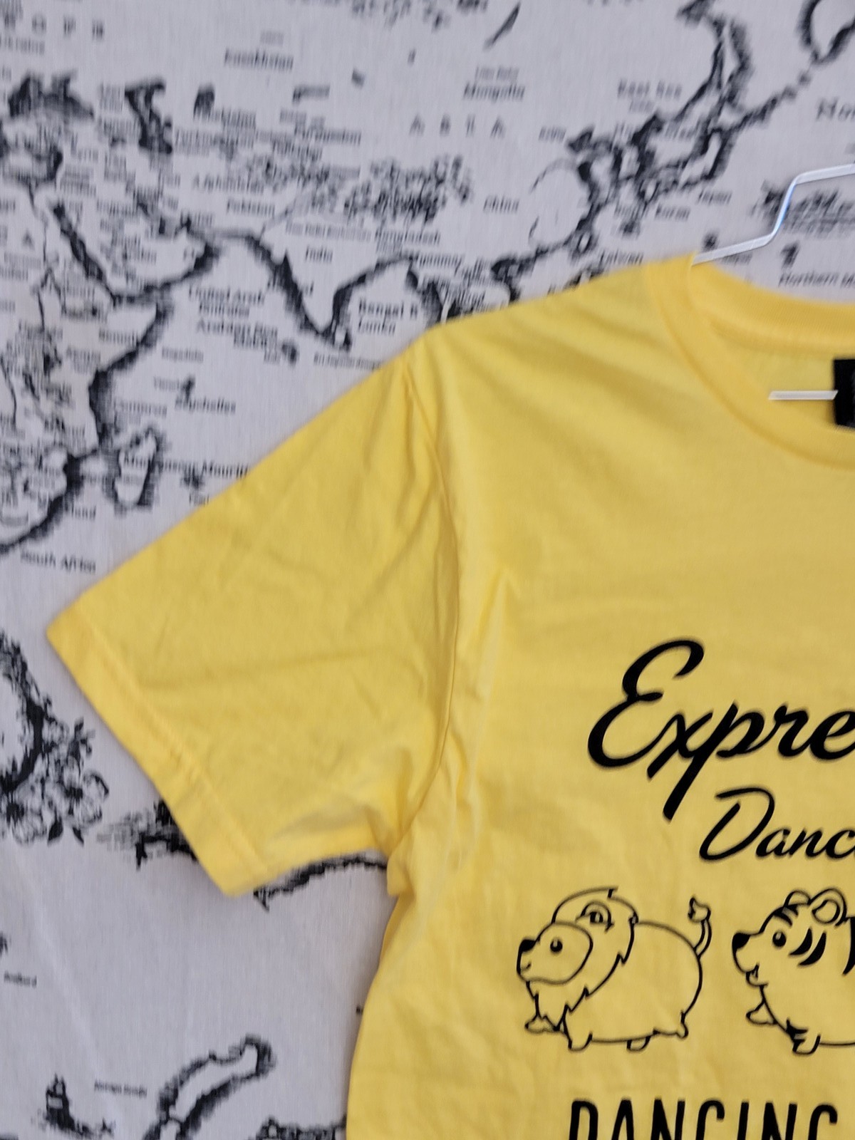 Gildan Custom Ink Expressions Dance Arts Dancing Safari 2024 Recital T-Shirt S