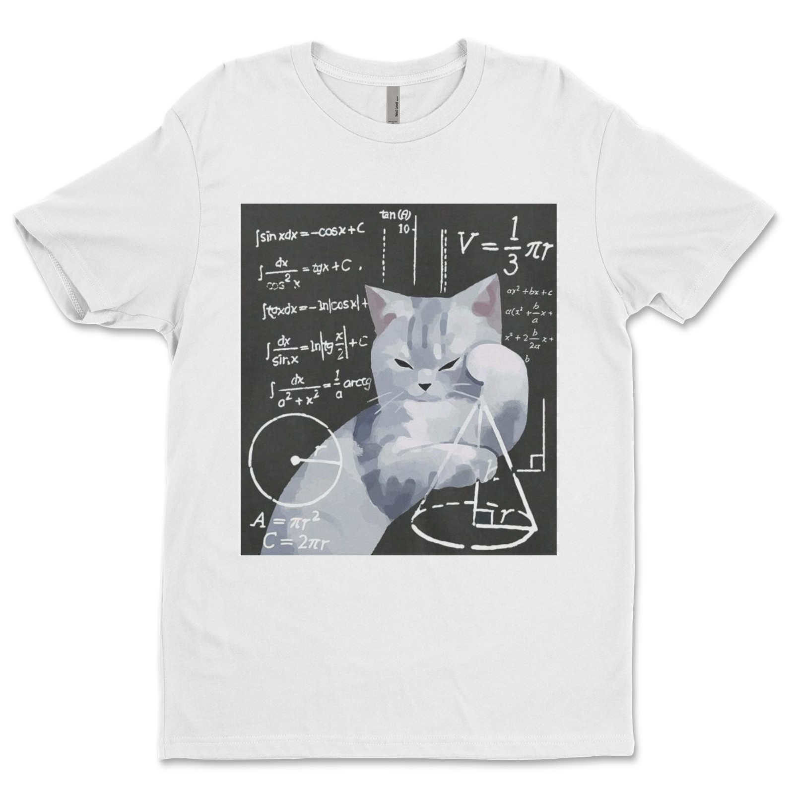 DTF Math Cat/ Custom Unisex Soft Style T-Shirts, Next Level- Cotton