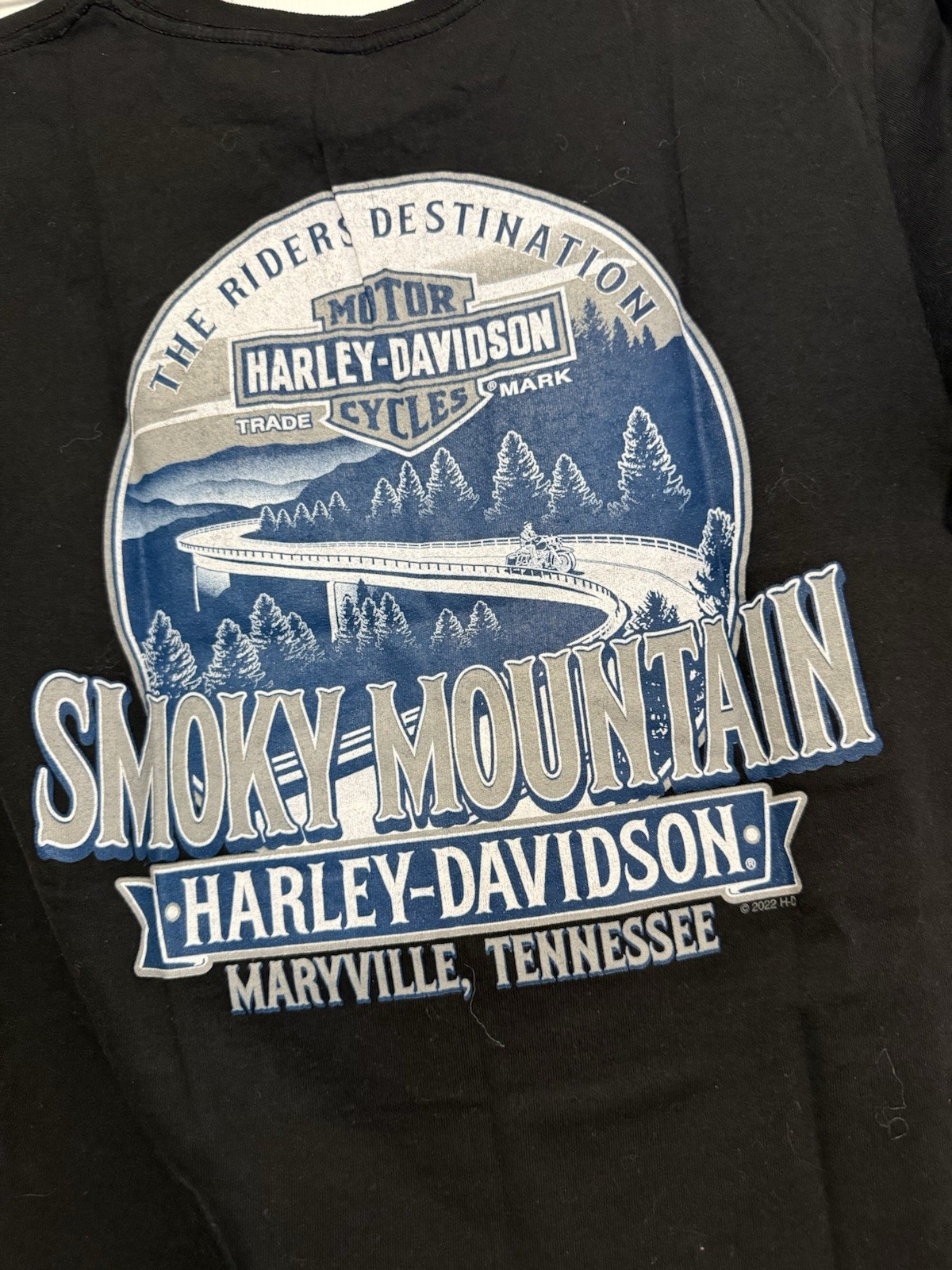 Harley-Davidson Men’s Black & Blue Smokey Mountain Graphic Logo T‑Shirt