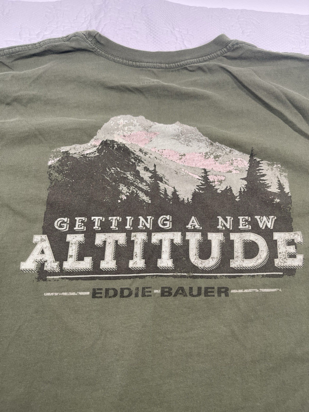 Eddie Bauer Men’s Green Graphic Logo Knit Crew Neck Short Sleeve XXL T-Shirt