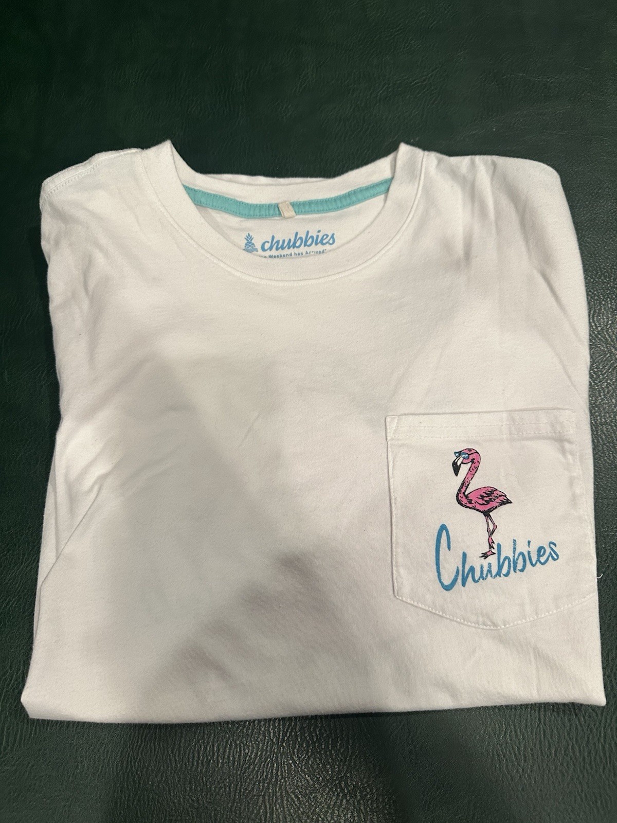 Chubbies The Aquatic Liberation Tshirt