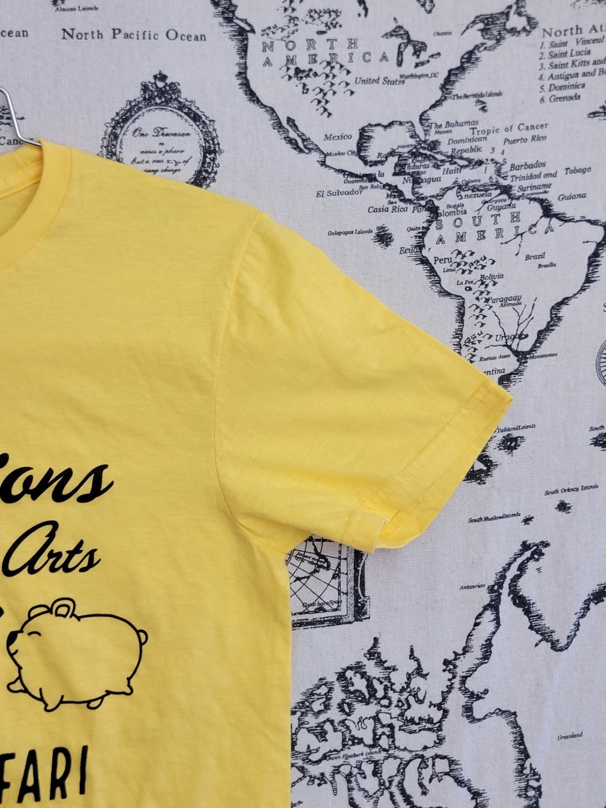 Gildan Custom Ink Expressions Dance Arts Dancing Safari 2024 Recital T-Shirt S
