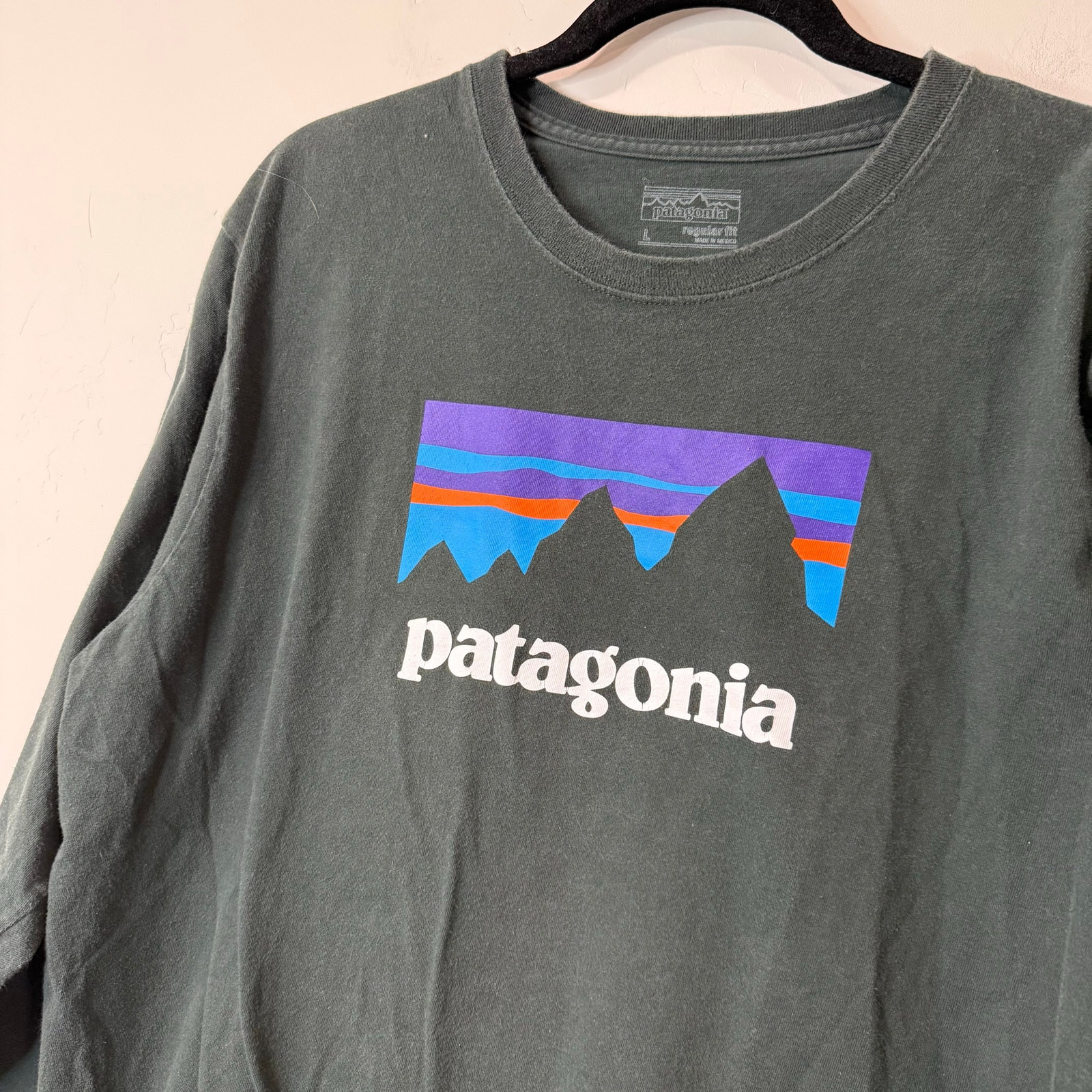 Patagonia Men’s Shop Sticker Long-Sleeve Tee Graphic Logo Dark Green Large