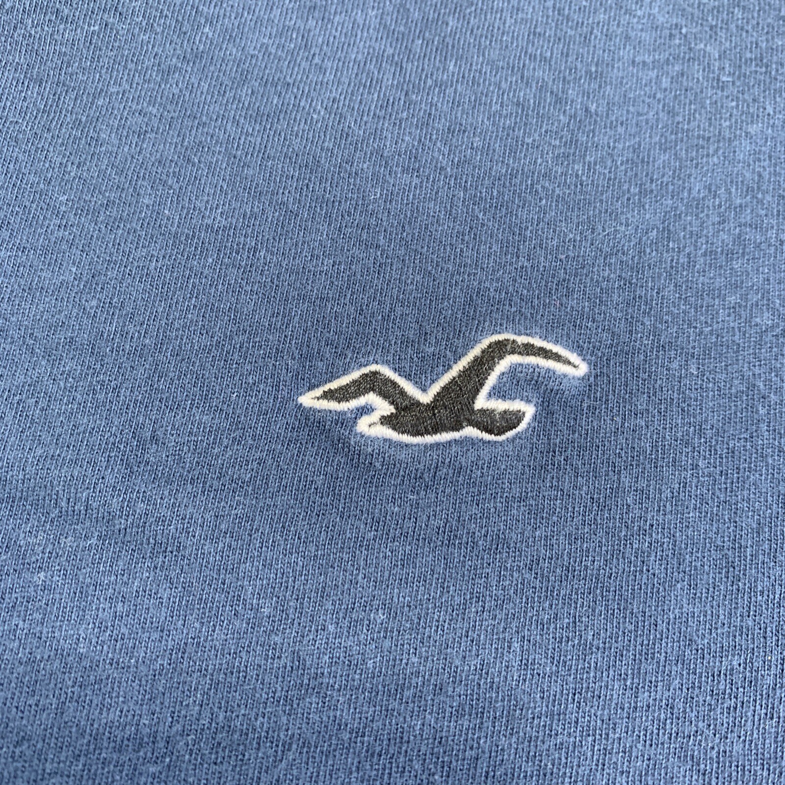 Hollister T Shirt Mens Small Blue Must Have Collection Logo 100% Cotton
