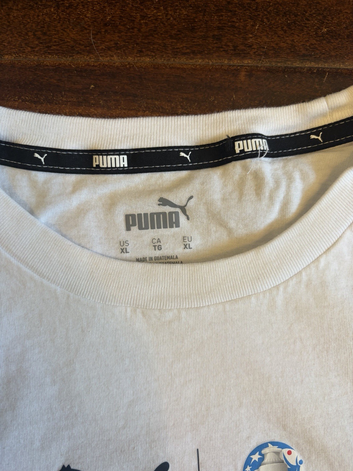 Puma Copa America 2024 ‘Cumbre’ logo tee size XL measurements pictured