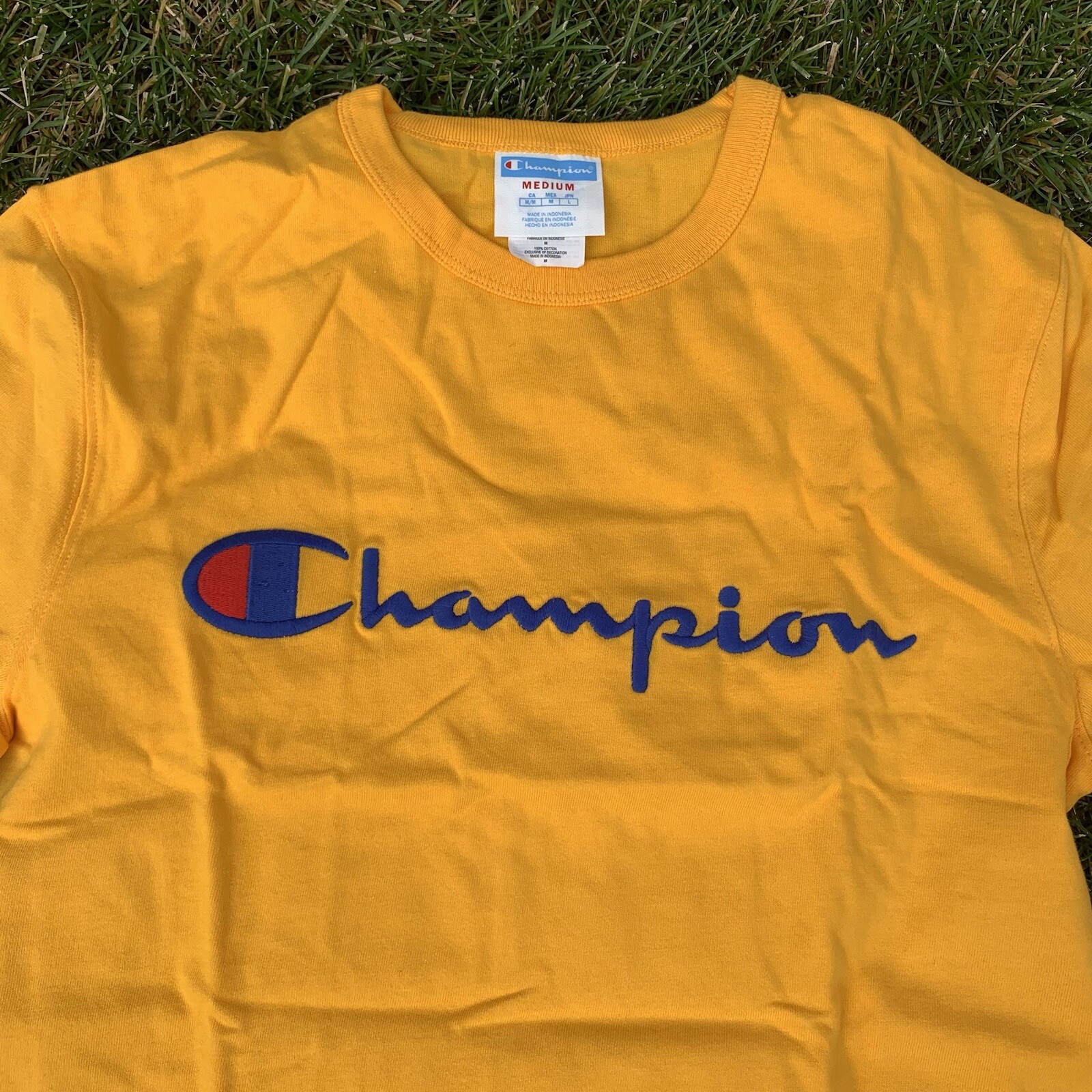 Champion T-Shirt Script Logo Embroidered Spell Out | Yellow — Men’s Size Medium