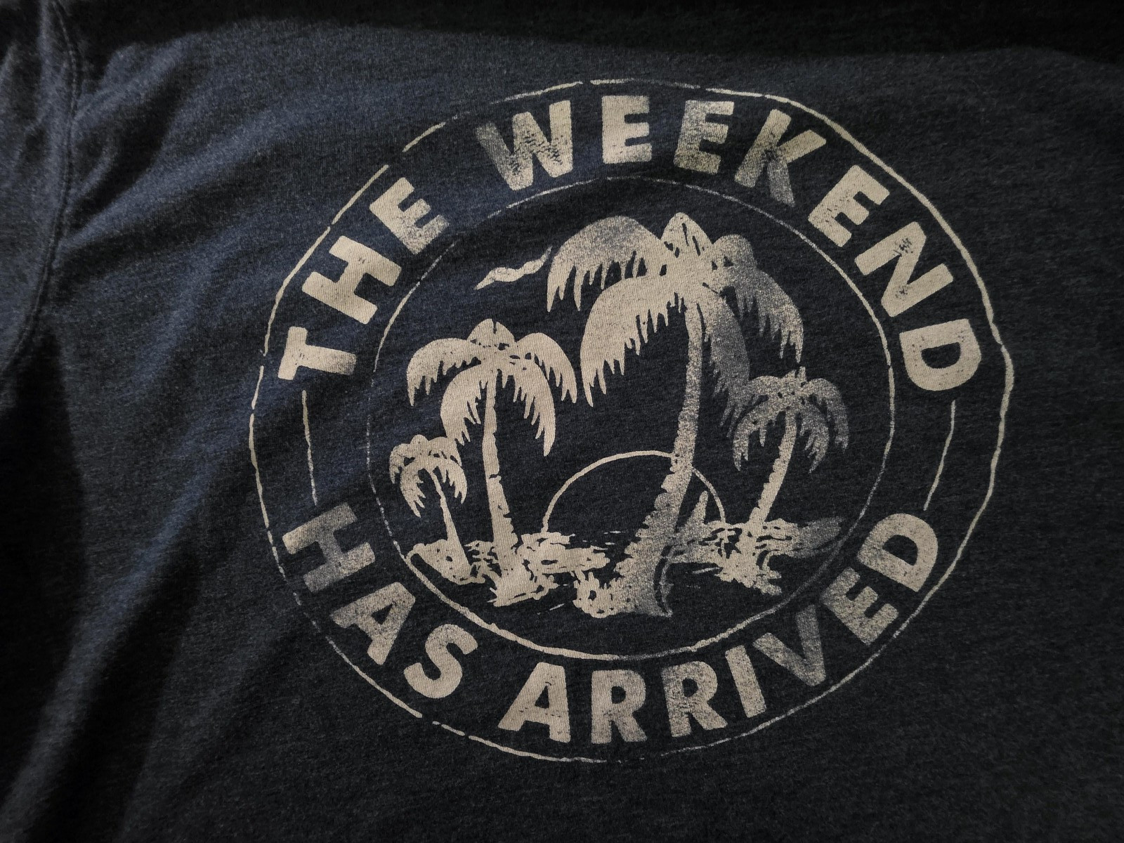 Chubbies Mens Large The Relaxer Blue Weekend Arrived Pocket Graphic Long T Shirt