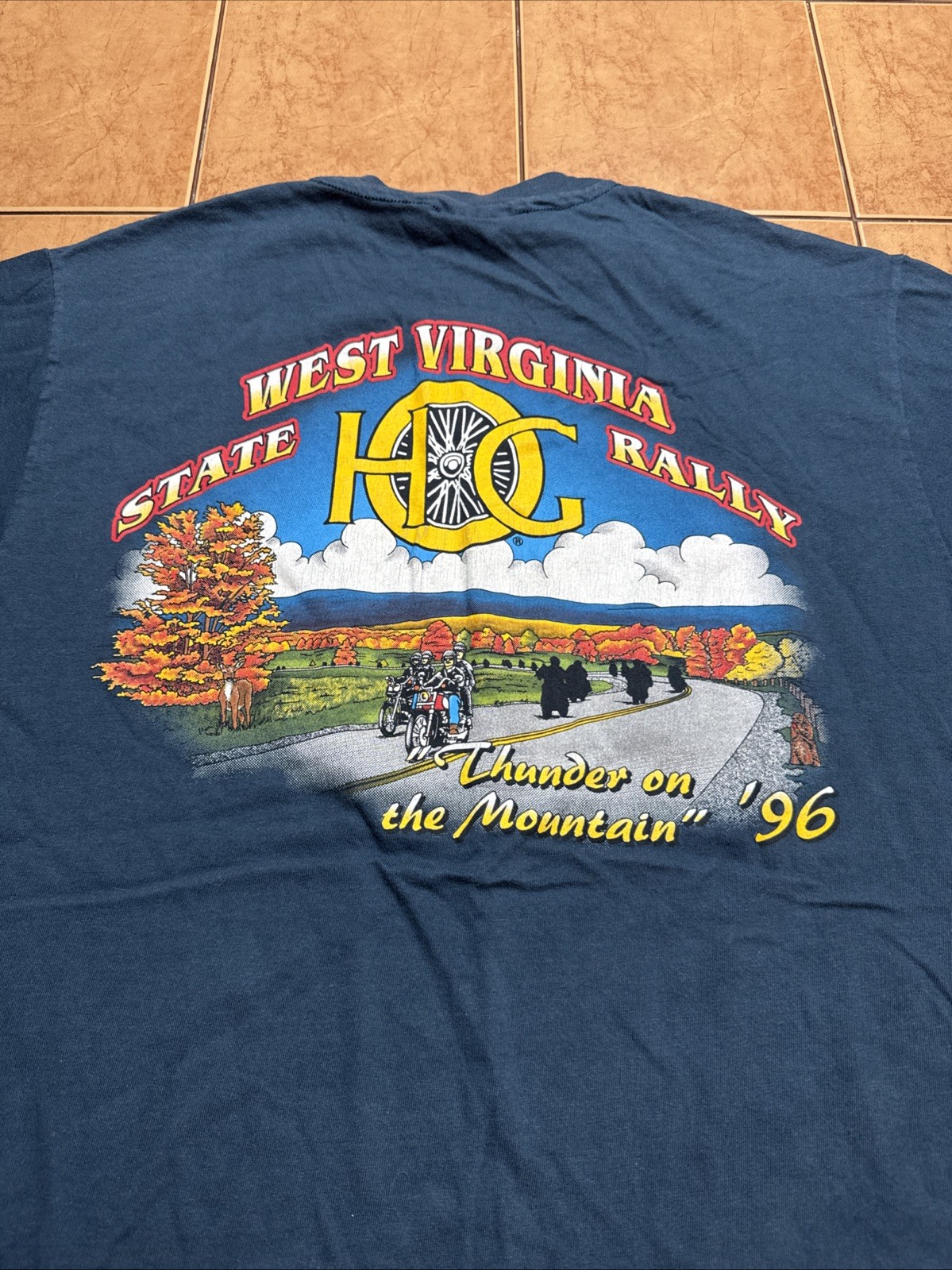 1996 Harley Davidson Single Stitch T-Shirt Sz L West Virginia State Rally Biker