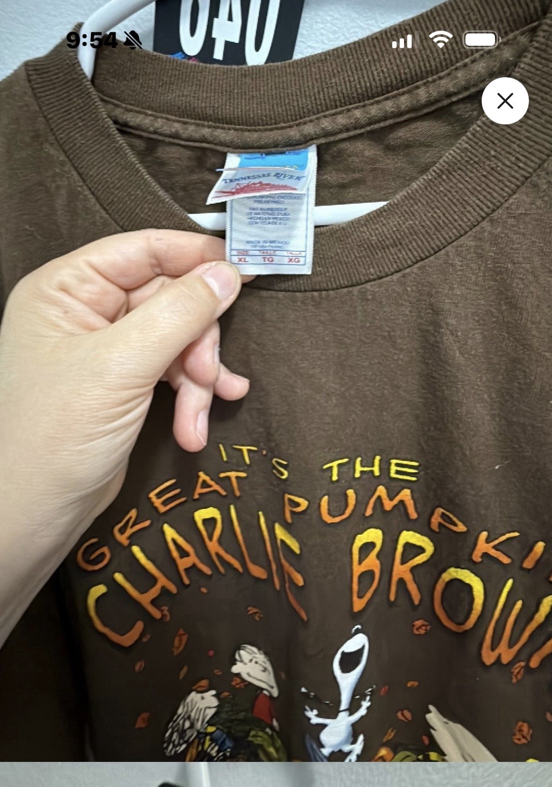 Peanuts Men’s Brown Great Pumpkin Charlie Brown Crew Neck T-Shirt Size XL