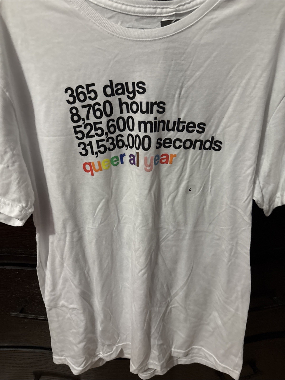 Phluid “queer all year” T Shirt Size L