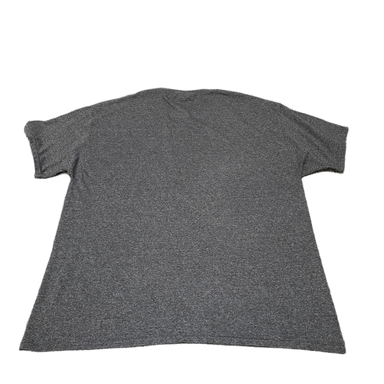 South Carolina Gamecocks T-Shirt Mens M Grey Champion NCAA Football Sports Tee