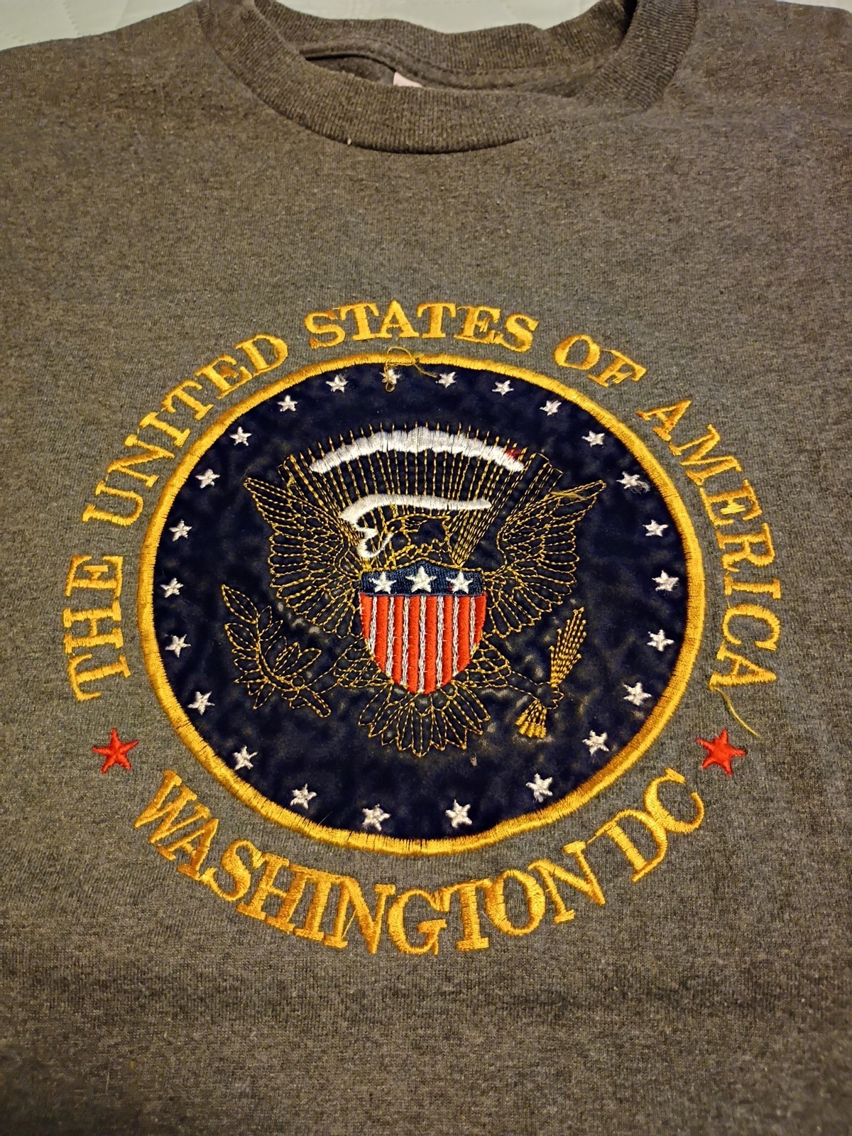 United States Of America Washinton D.C. Embroidered Graphic T-Shirt Gray XL