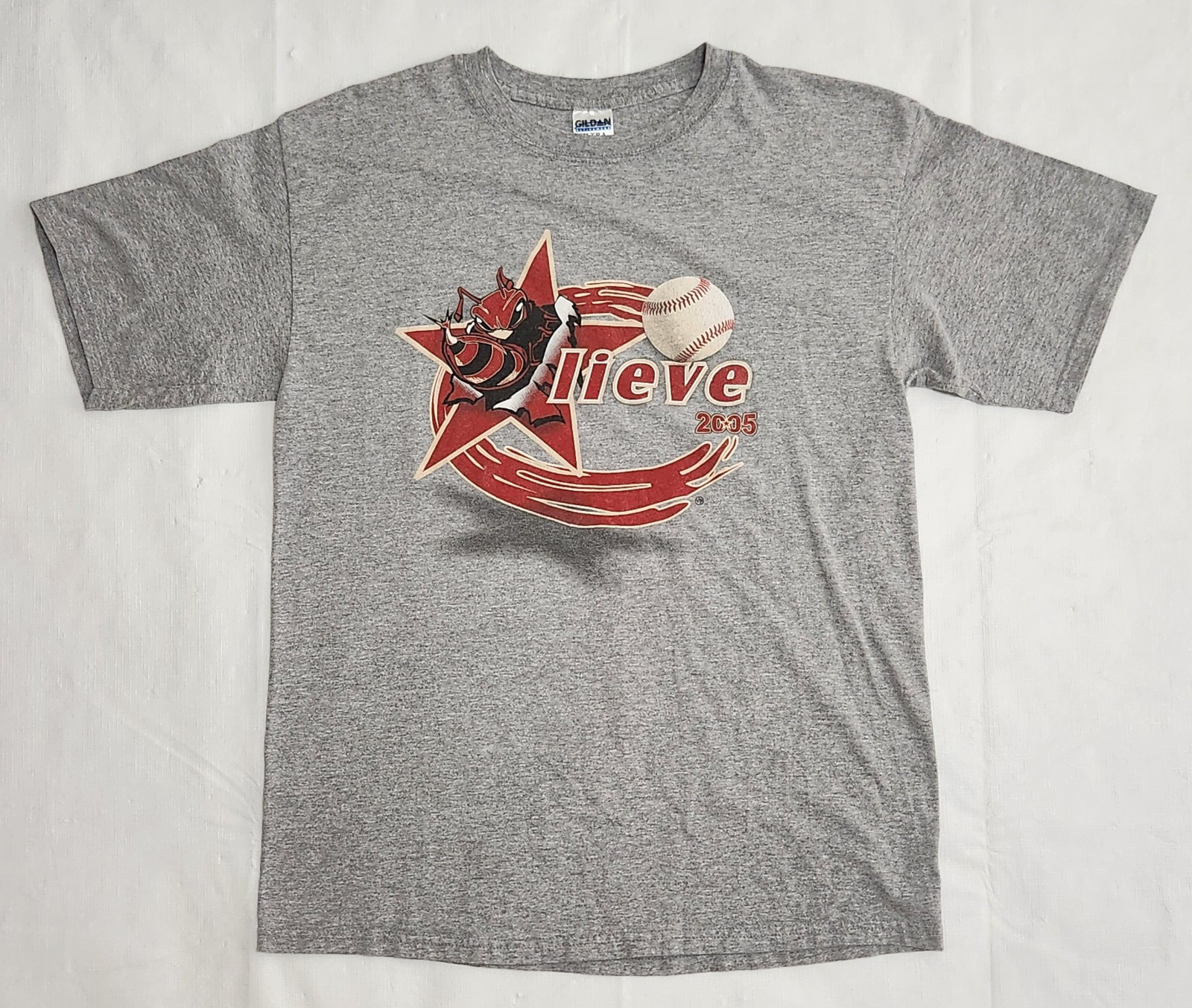 Vintage Houston Astros Y2K 2005 Playoffs Believe Killer Bee’s T-Shirt Size L