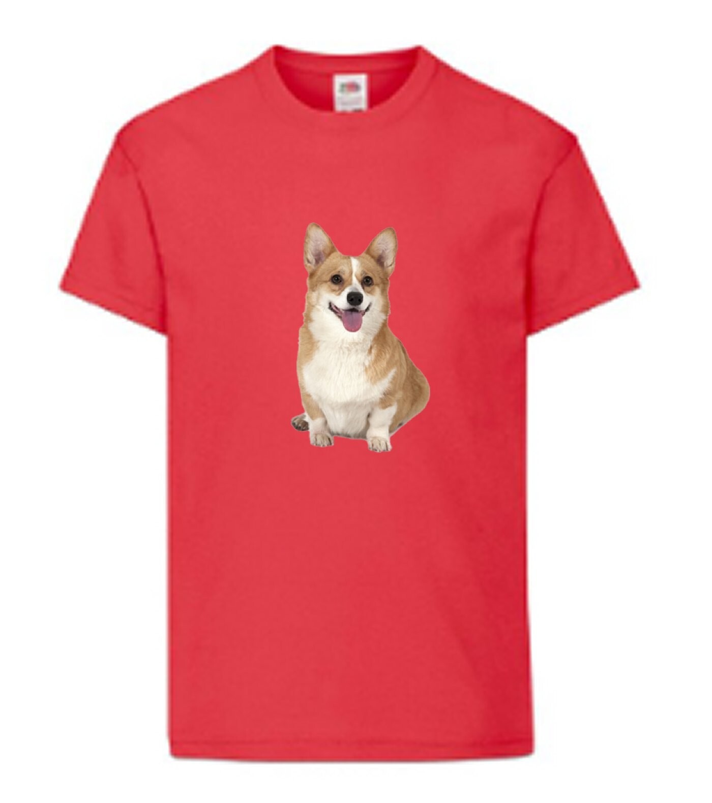 Corgi Dog Pet Family Novelty T Shirt Various Colours And Sizes