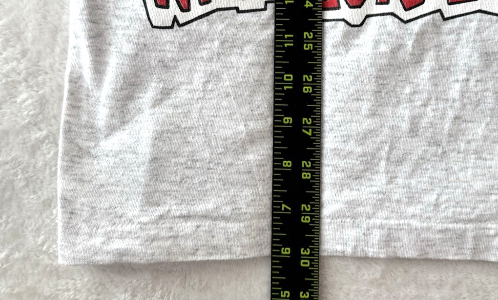 1990s Chillin With Wile E Coyote And Roadrunner T Shirt XL Vtg Warner Bros