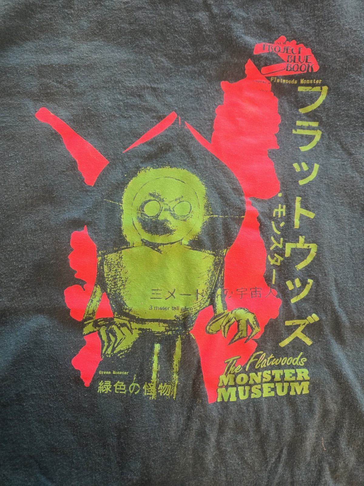 Flatwoods Monster & Everything Fiesta Tshirts Lot Of 2 XXL Gildan