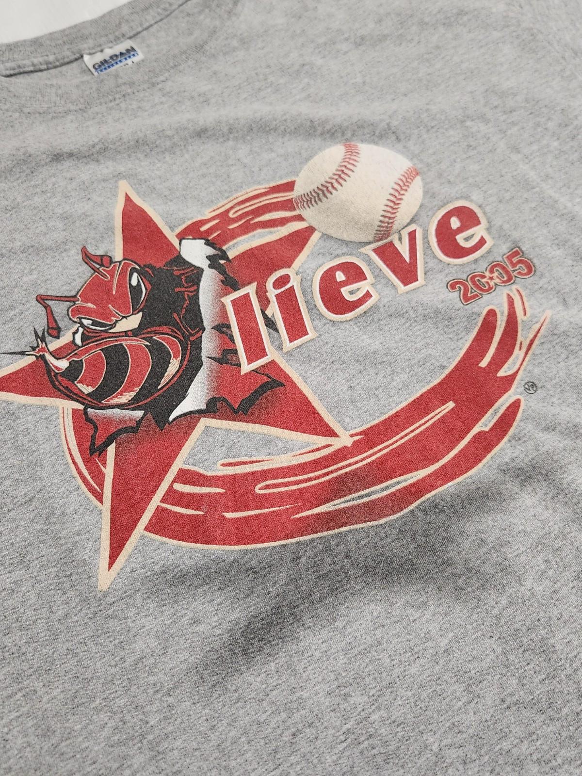 Vintage Houston Astros Y2K 2005 Playoffs Believe Killer Bee’s T-Shirt Size L