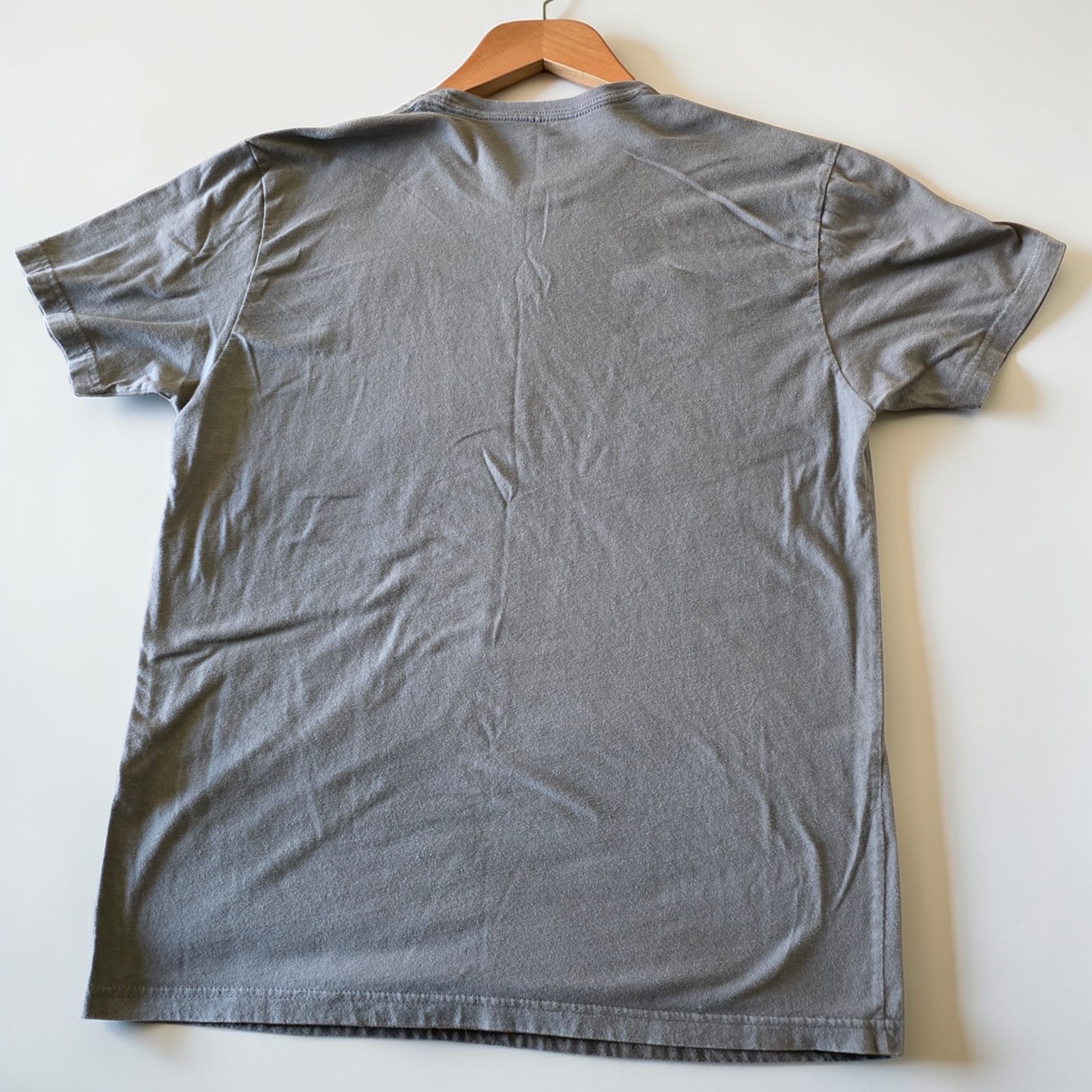 Frankenstein Mary Shelley Graphic Tee Mens Large Gray Gothic Horror Shirt Y2K