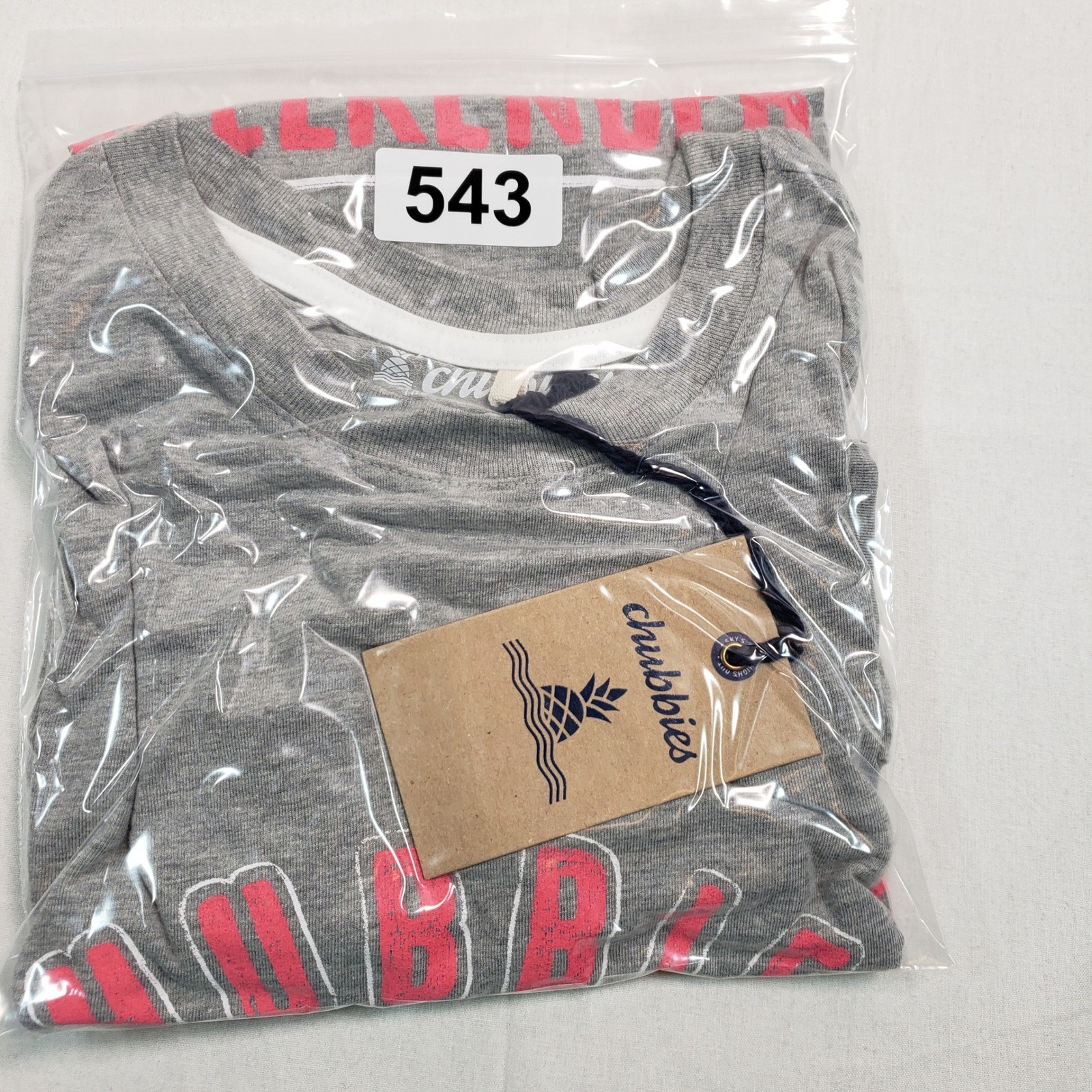 Chubbies The Van Life Graphic T Shirt Gray XL The Weekend Has Arrived Tee