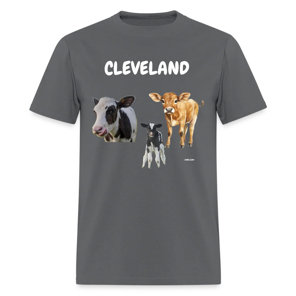 CAVS