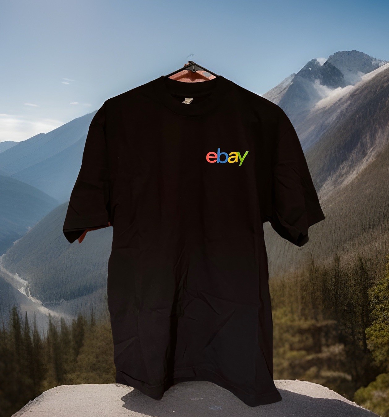 Ebay Logo Multi Color Black T-Shirt Men 3XL Los Angeles Apparel 30th Anniversary