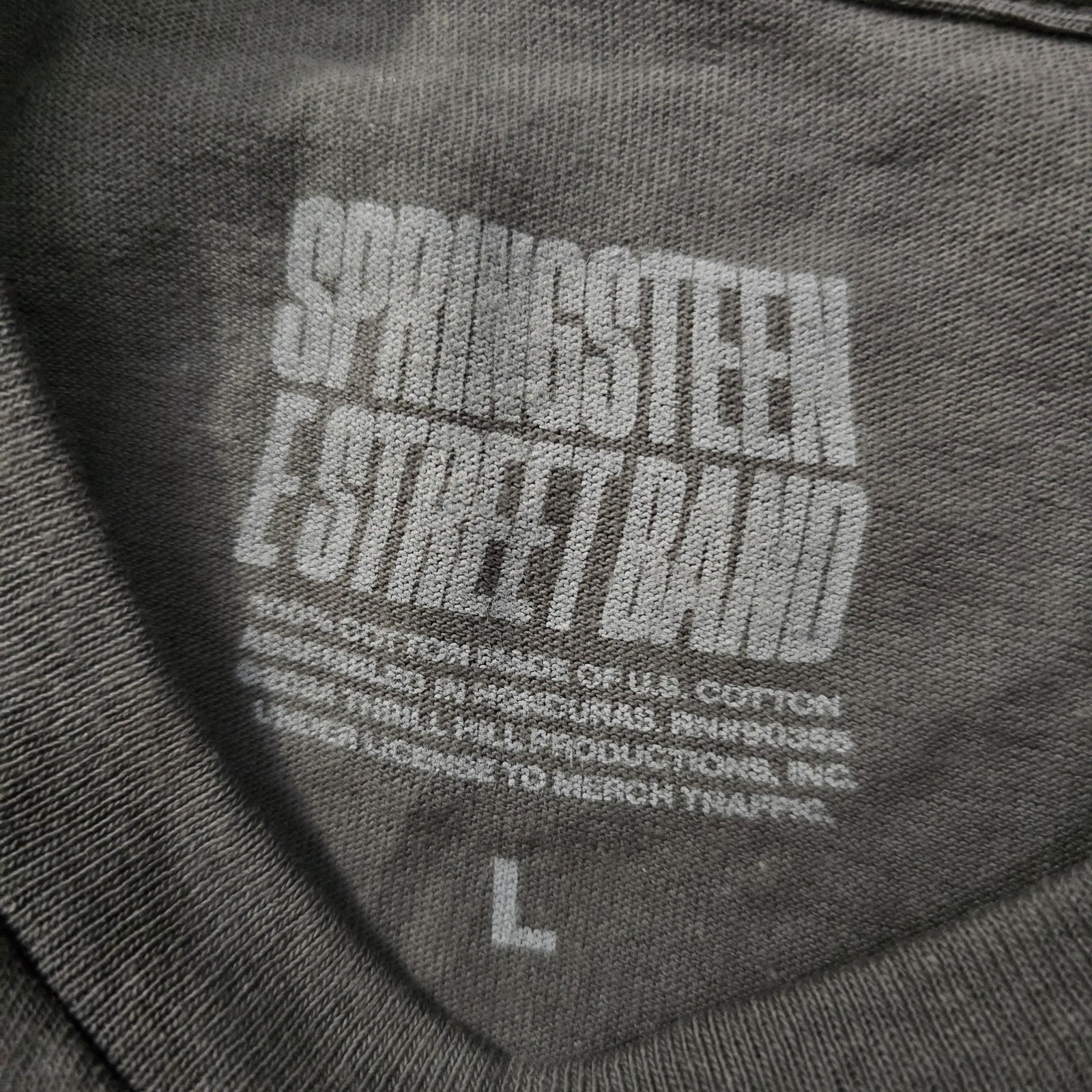 Springsteen E Street Band Shirt Mens Large Gray 2024 On Tour Concert Tee