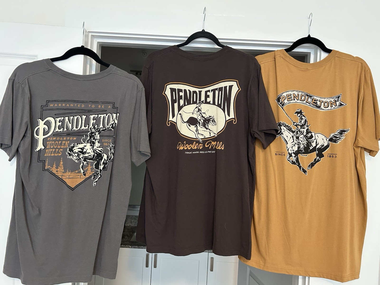 Lot Of 3 Pendleton Woolen Mills Men’s L & XL Graphic T-Shirts Gently Worn