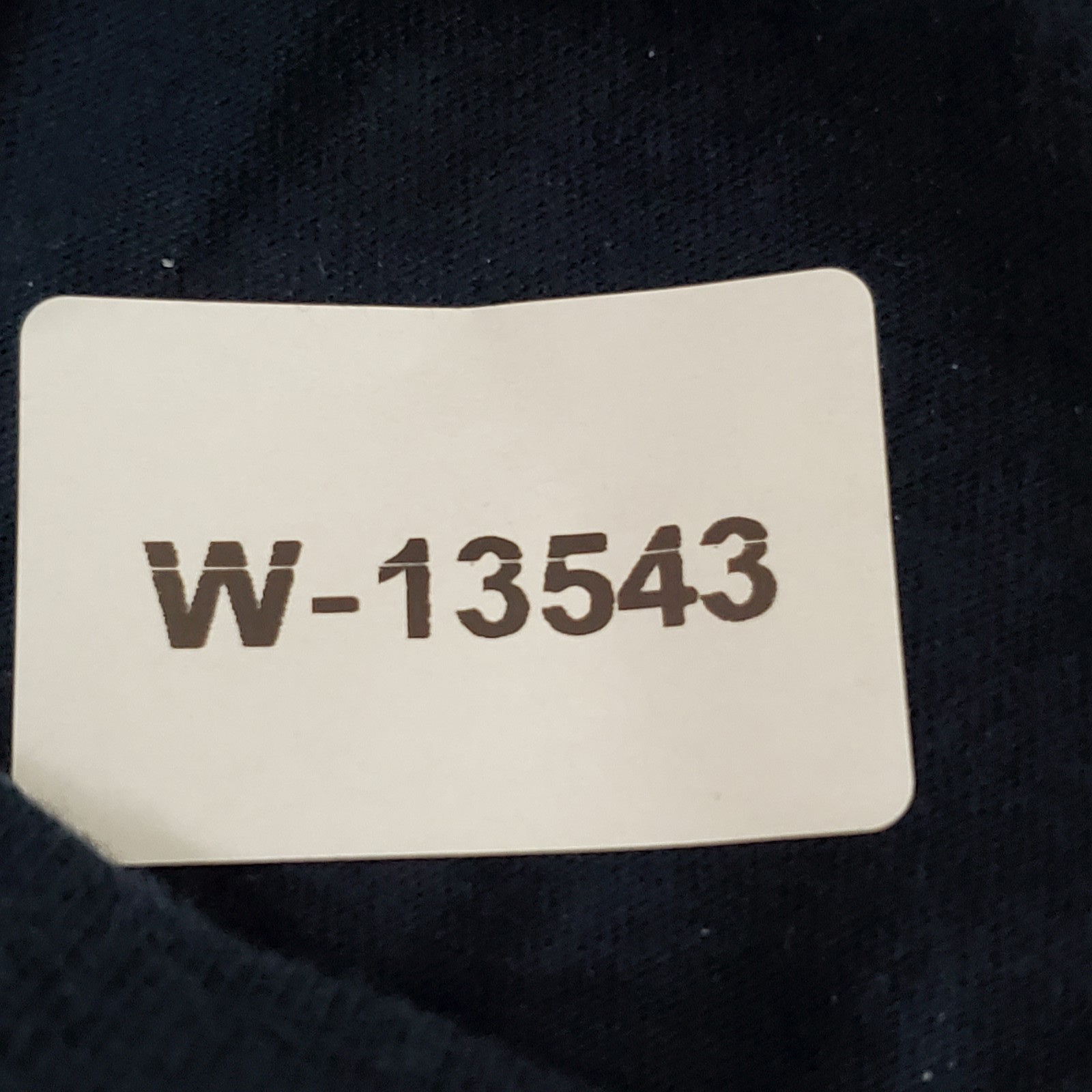 Pendleton Men Shirt L/G Navy Blue Graphic Tee Short Sleeve Print