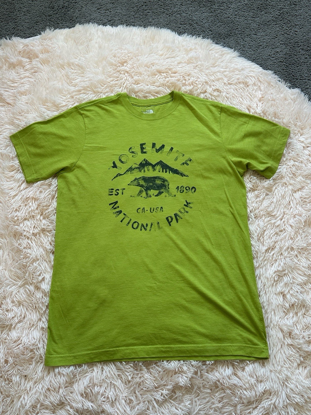 The North Face Mens Green Yosemite Bear Graphic Slim Tee Size L/G