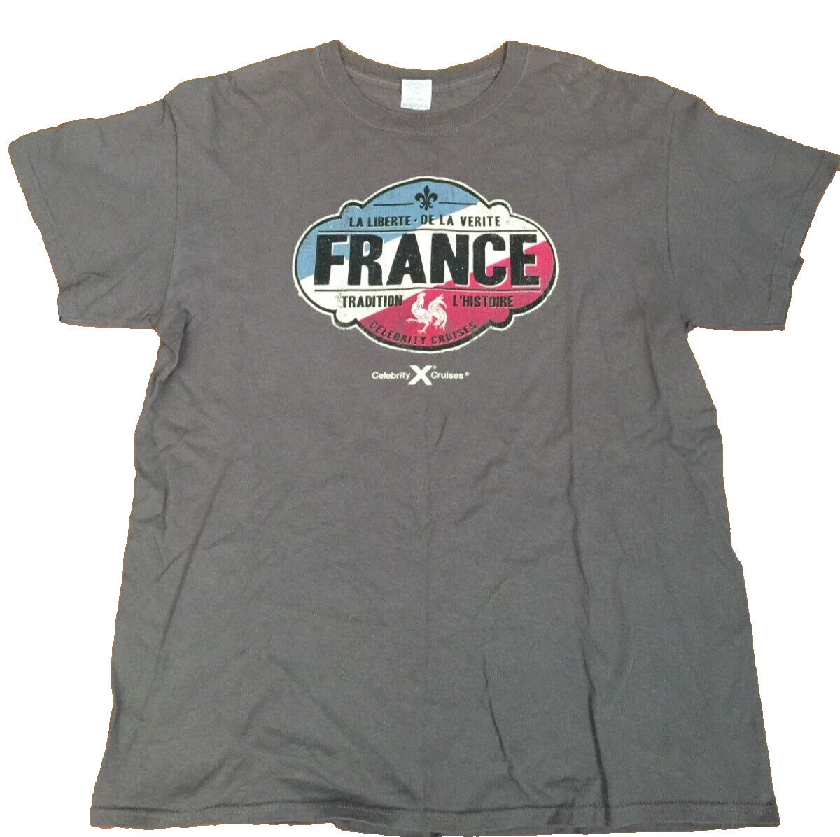 FRANCE CELEBRITY CRUISES GRAY GILDAN HEAVY COTTON T SHIRT MENS M 41″x26.75″