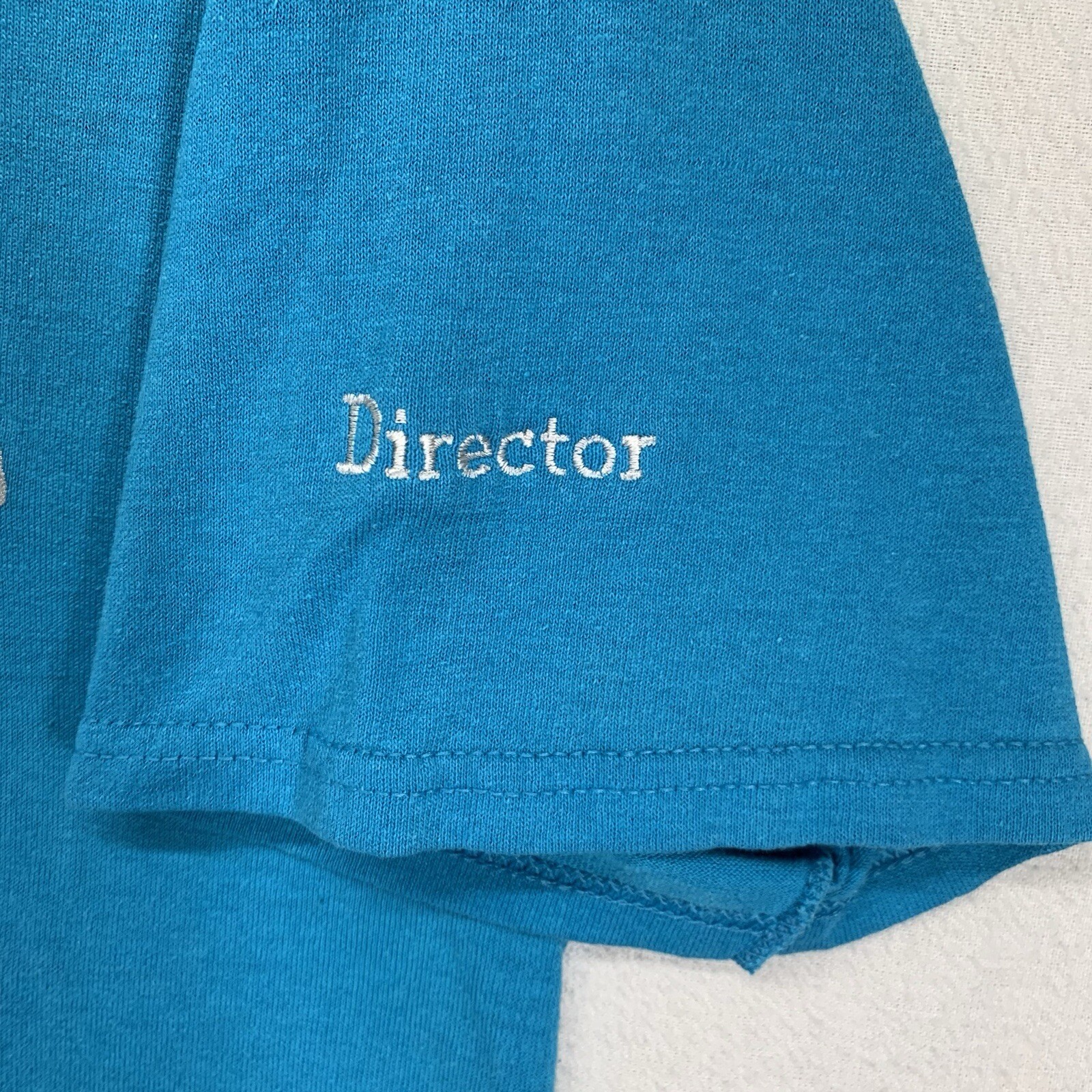 Vintage Blue T Shirt Mens Size Medium Edinburg Dolphins Adventurer Club Director