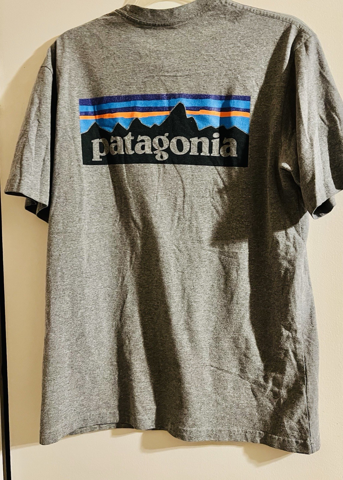 Patagonia Cotton Logo T-Shirt Gray ( Small