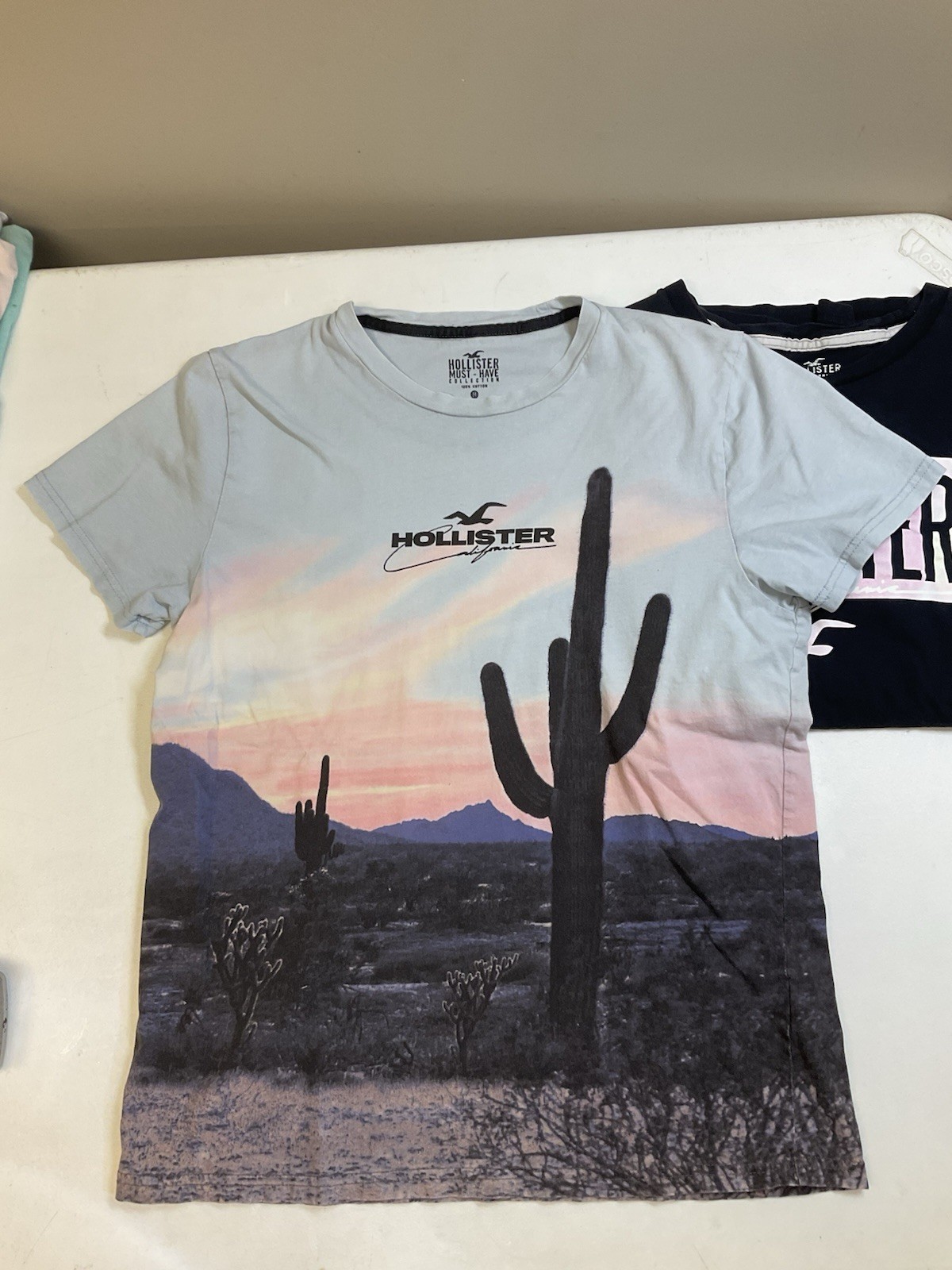 Hollister Must-Have Collection M Medium Cotton Shirt Lot