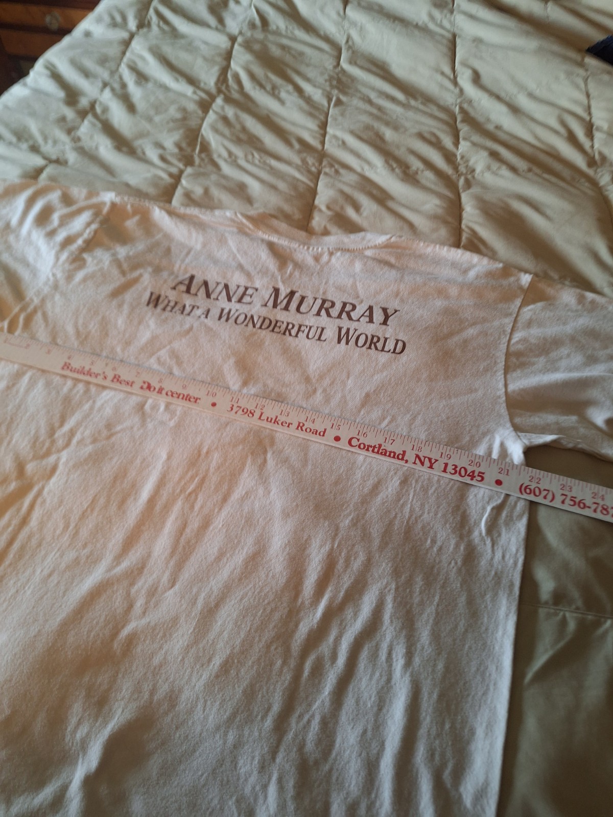 Vintage Anne Murray T-shirt Large Concert What A Wonderful World 2001 Shirt Tee