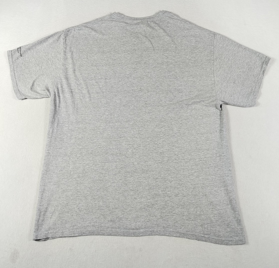 Vintage Hanes Truth Or Consequences Shirt Mens XL Gray Desert Quote Humor Casual