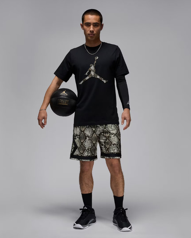 Nike Jordan Sport Mens Dri-Fit T-Shirt Black Multi Size Casual Sportswear Tee